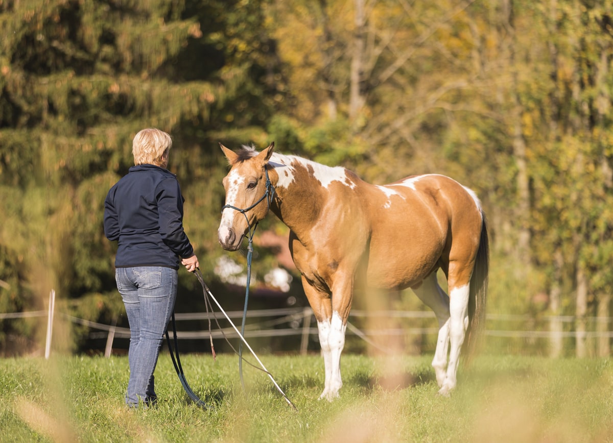 Mirijam-Stark-Mka-Horsemanship-Trainerin-Unterricht-Bodenarbeit-Pferdeausbildung-Ehingen